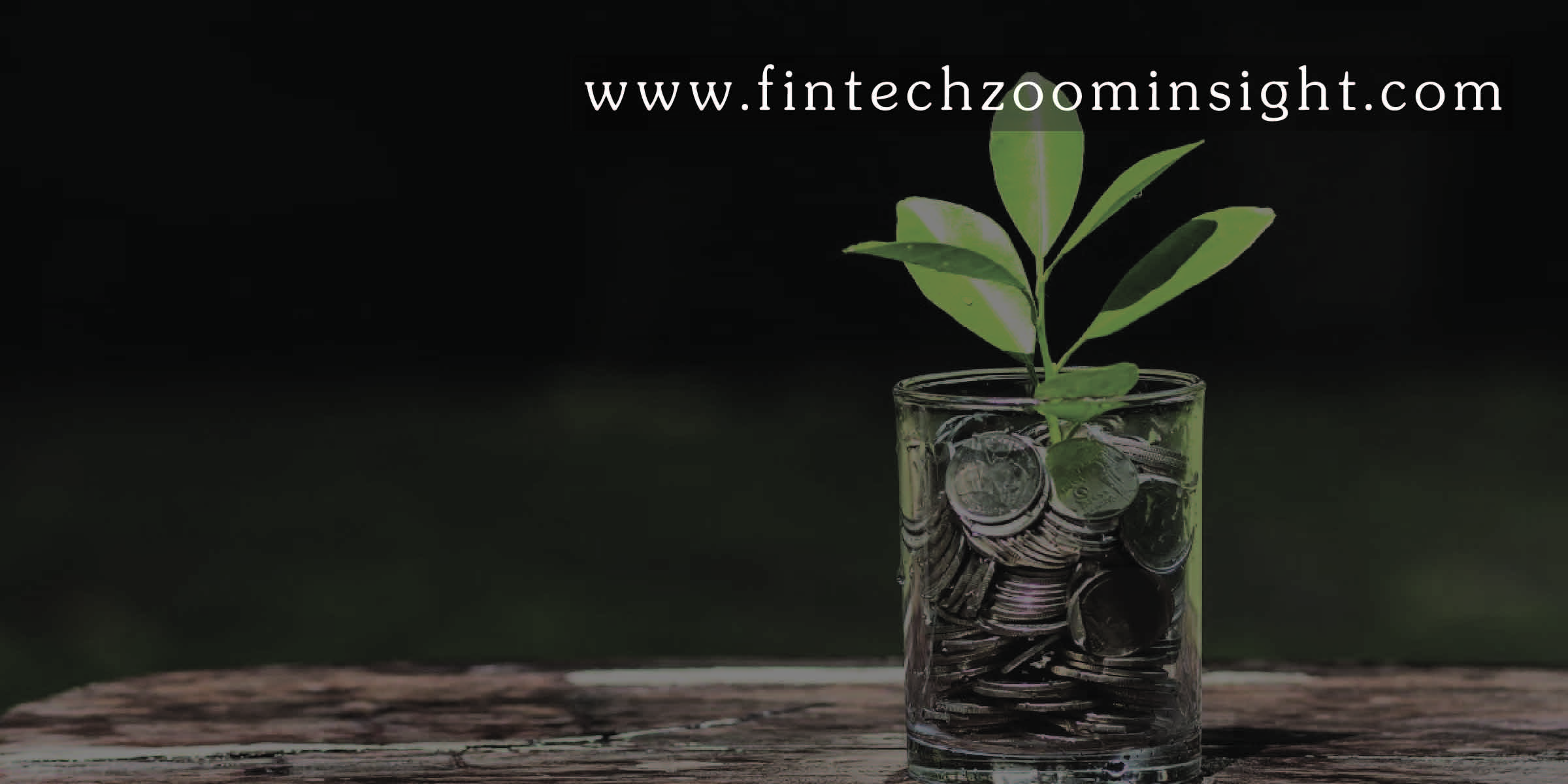 Investment Fintechzoom